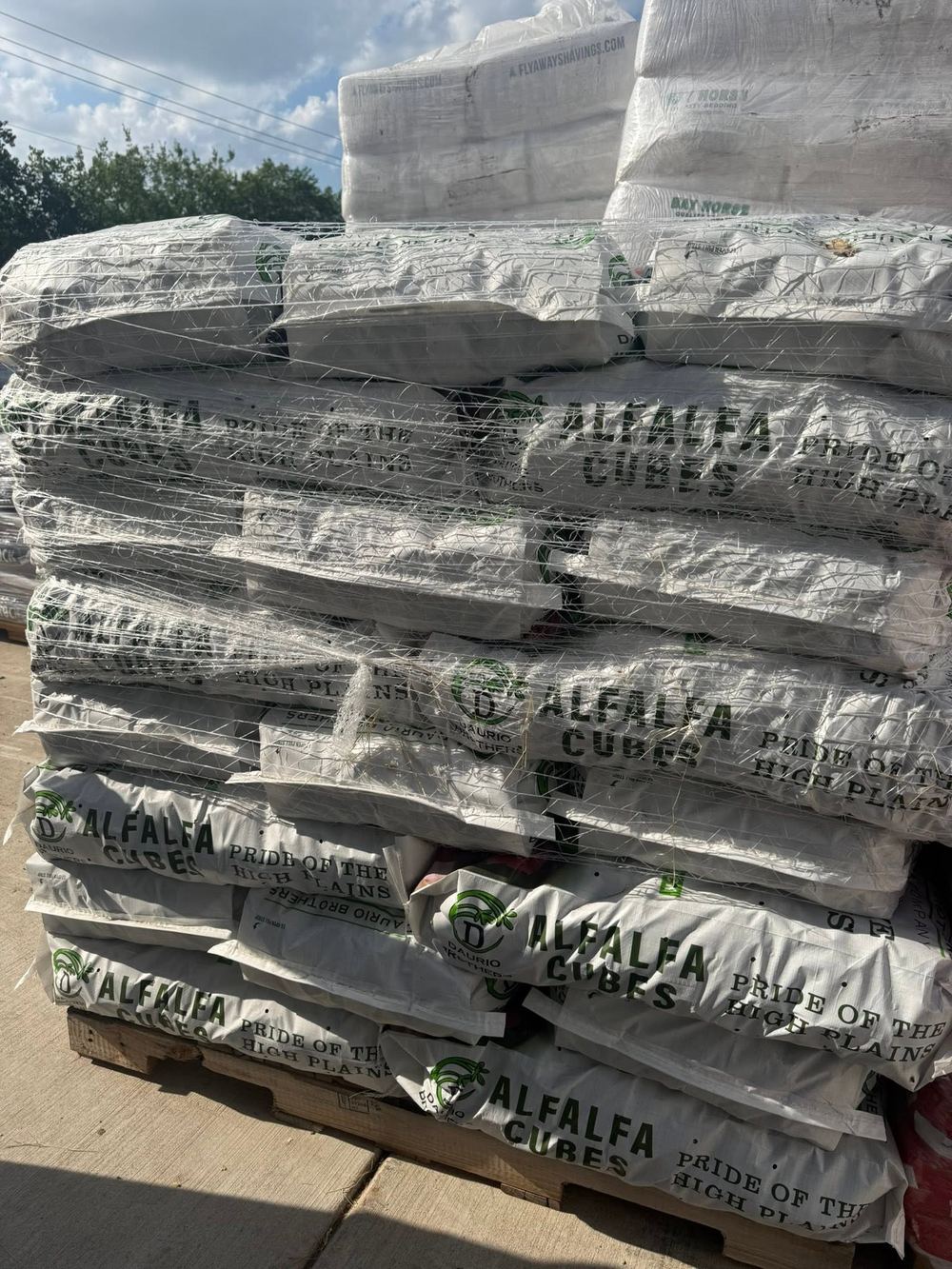 Bags of alfalfa cubes