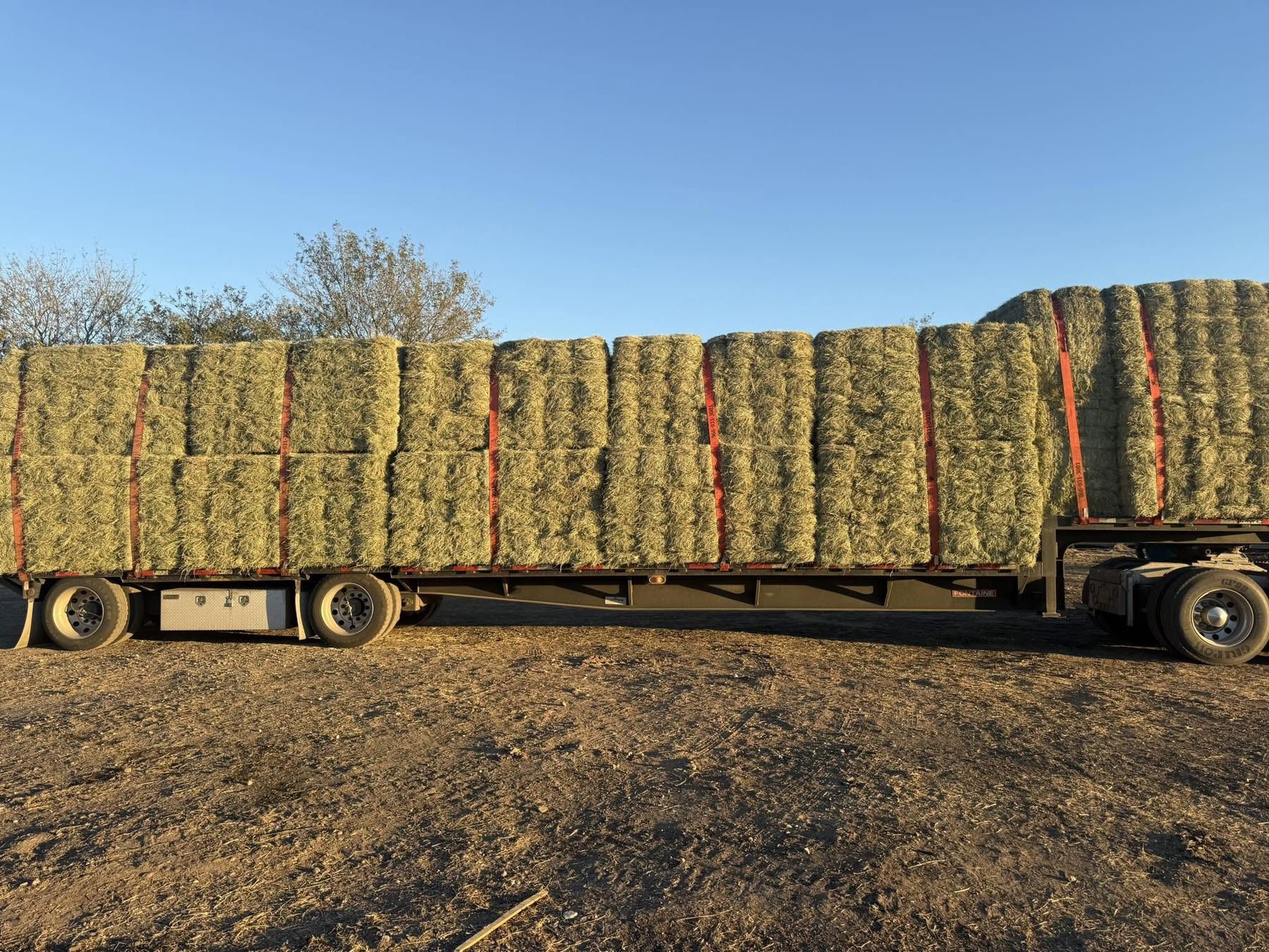 Trailer stacked with square bales