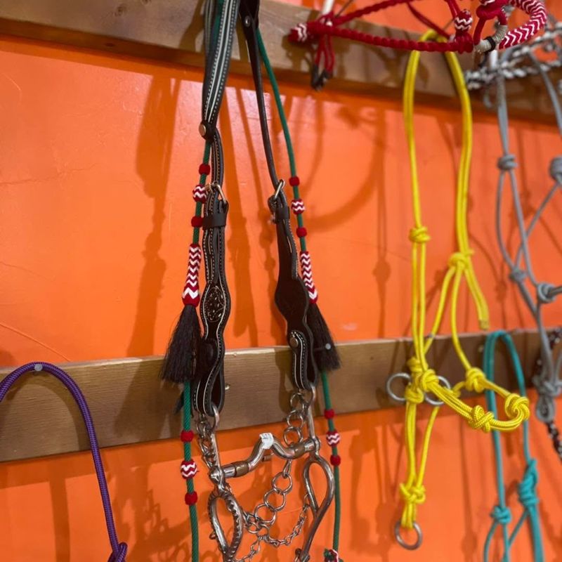 Headstall with horsehair tassels and colorful rope halters on an orange wall